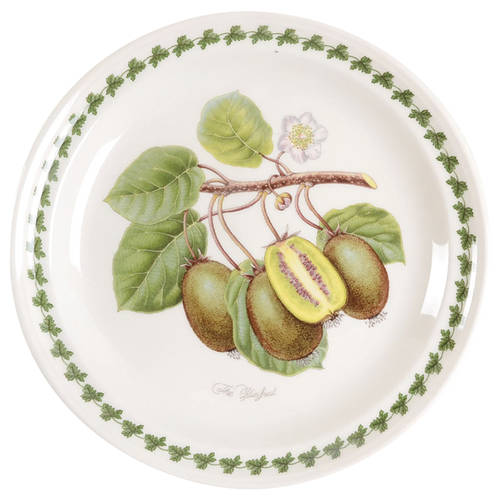 Pomona Dinner Plate w/Border Design