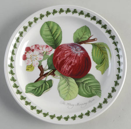 Pomona Large Design Salad Plate w/Border by Portmeirion