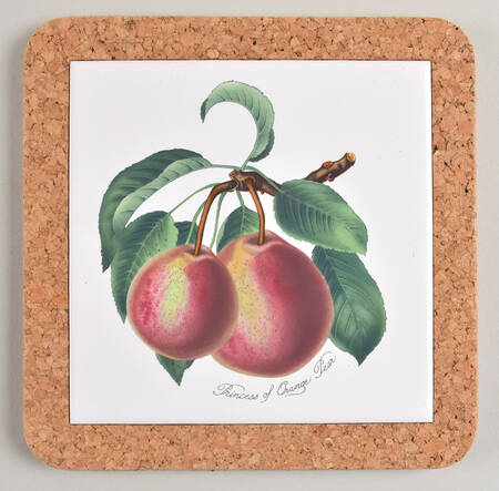 Pomona 7" Square Cork Back Trivet