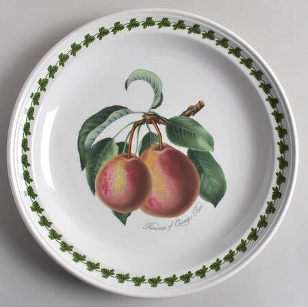 Pomona Dinner Plate w/Border Design
