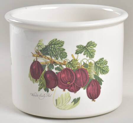 Pomona 5" Planter Pot