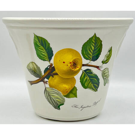 Pomona 7" Flared Cachepot/Vase