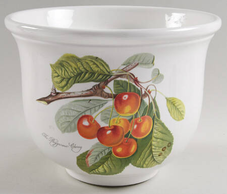 Pomona 7" Planter Pot (Bulb Shaped) by Portmeirion