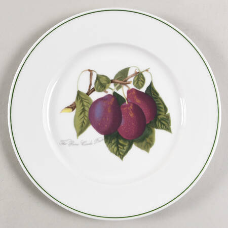 Pomona Salad Plate by Portmeirion