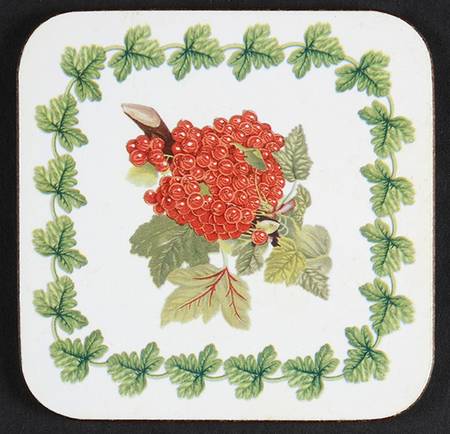 Pomona Square Cork Back Coaster with Laurel Border by Portmeirion