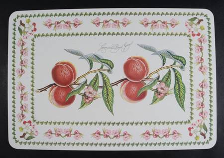 Pomona Corkboard Placemat