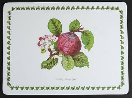 Pomona 1/4" Thick Corkboard Placemat