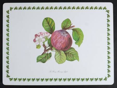 Pomona 1/8" Thick Corkboard Placemat