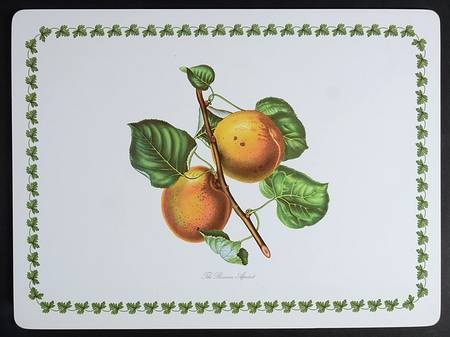 Pomona 1/8" Thick Corkboard Placemat