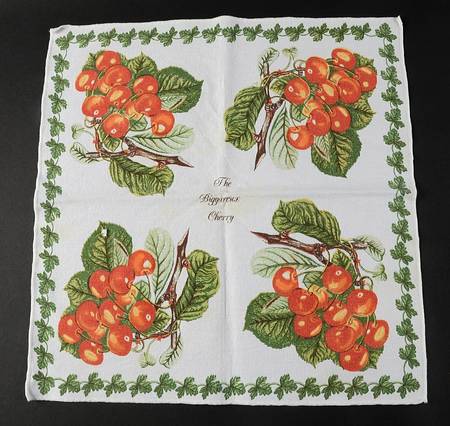 Pomona Cloth Napkin