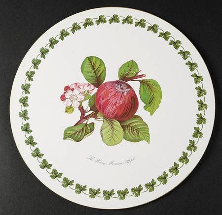 Pomona Round Placemat with Cork Back