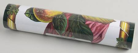 Pomona Wallpaper Border by Portmeirion