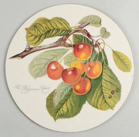 Pomona Round Placemat with Cork Back