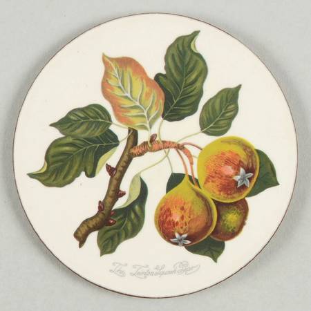 Pomona Cork Back Round Coaster