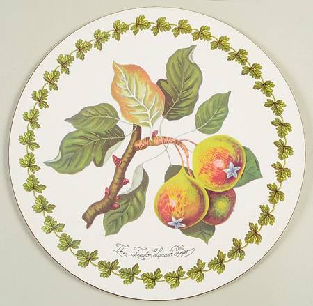 Pomona Round Corkboard Placemat