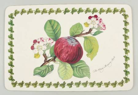 Pomona Corkboard Placemat