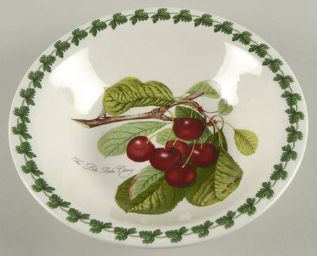Pomona 9" Soup/Pasta Bowl