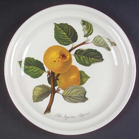 Pomona Salad Plate by Portmeirion