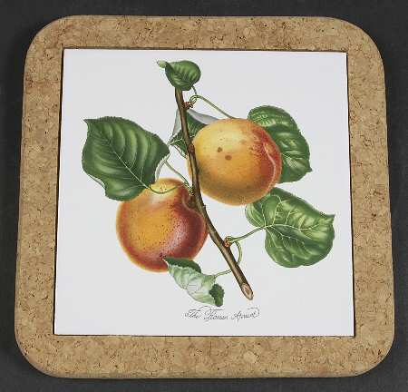 Pomona 7" Square Cork Back Trivet by Portmeirion