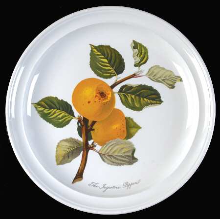 Pomona Dinner Plate