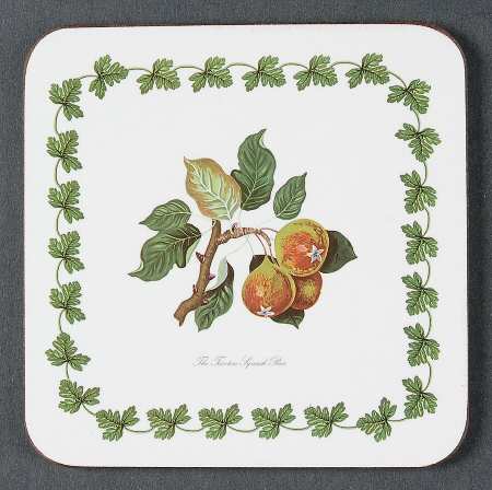 Pomona Square Cork Back Coaster-No Floral Border