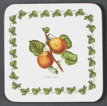 Pomona Square Cork Back Coaster-No Floral Border