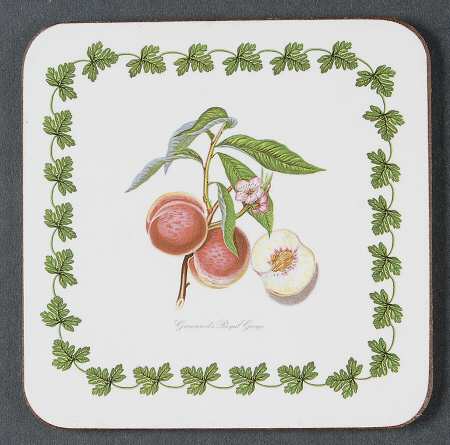 Pomona Square Cork Back Coaster-No Floral Border