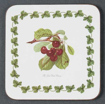 Pomona Square Cork Back Coaster-No Floral Border