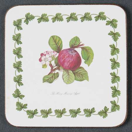 Pomona Square Cork Back Coaster-No Floral Border