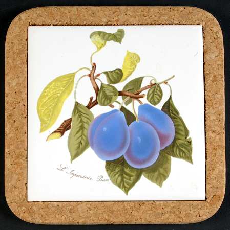 Pomona 7" Square Cork Back Trivet