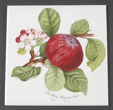 Pomona 6" Wall Tile Aka Tile Insert