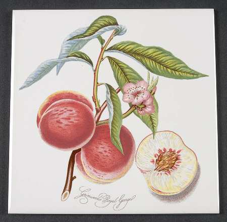 Pomona 6" Wall Tile Aka Tile Insert by Portmeirion