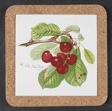 Pomona 7" Square Cork Back Trivet