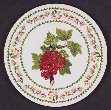 Pomona Round Cork Back Coaster with Floral Border