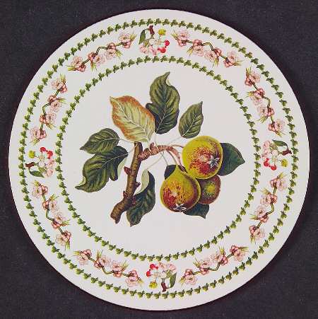 Pomona Round Cork Back Coaster with Floral Border by Portmeirion