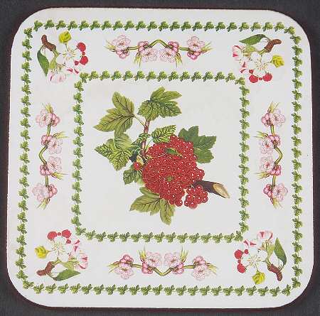 Pomona Square Cork Back Coaster with Floral Border