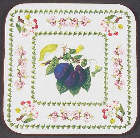 Pomona Square Cork Back Coaster with Floral Border
