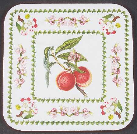 Pomona Square Cork Back Coaster with Floral Border
