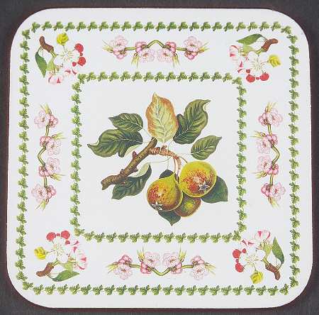 Pomona Square Cork Back Coaster with Floral Border