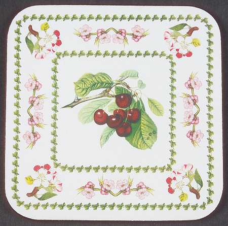 Pomona Square Cork Back Coaster with Floral Border
