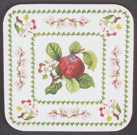 Pomona Square Cork Back Coaster with Floral Border