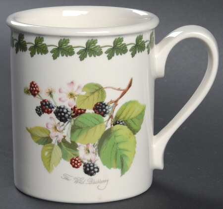 Pomona Breakfast Mug with Laurel by Portmeirion
