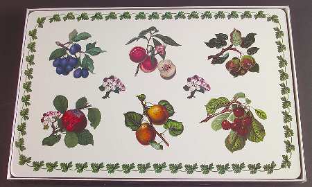 Pomona Corkboard Placemat - Set of 4