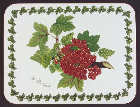 Pomona Small Corkboard Placemat