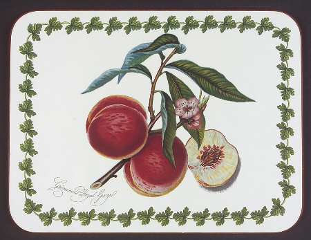 Pomona Small Corkboard Placemat by Portmeirion
