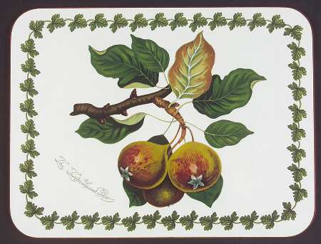 Pomona Small Corkboard Placemat by Portmeirion