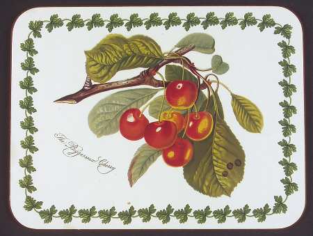 Pomona Small Corkboard Placemat by Portmeirion