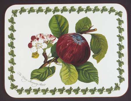Pomona Small Corkboard Placemat by Portmeirion