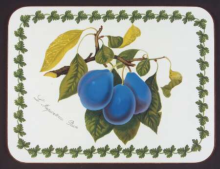 Pomona Small Corkboard Placemat by Portmeirion