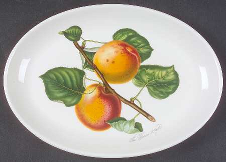 Pomona 10" Oval Steak Platter by Portmeirion